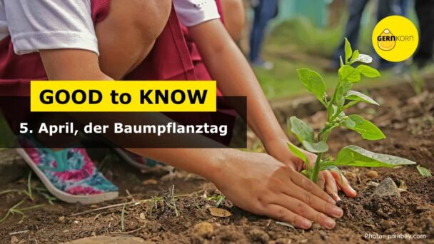 GOOD to KNOW INFO Karte (Der Tag des Pflanzens)