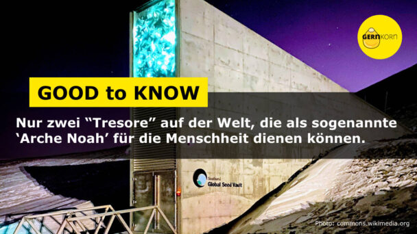 Svalbard Global Seed Vault